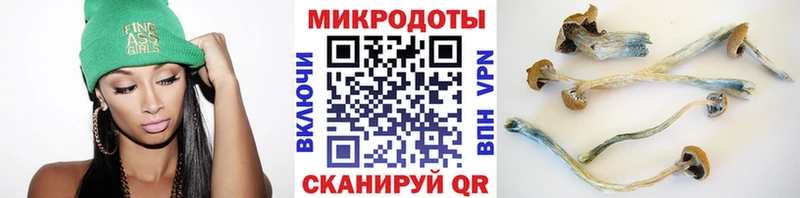 Галлюциногенные грибы GOLDEN TEACHER Новое Девяткино